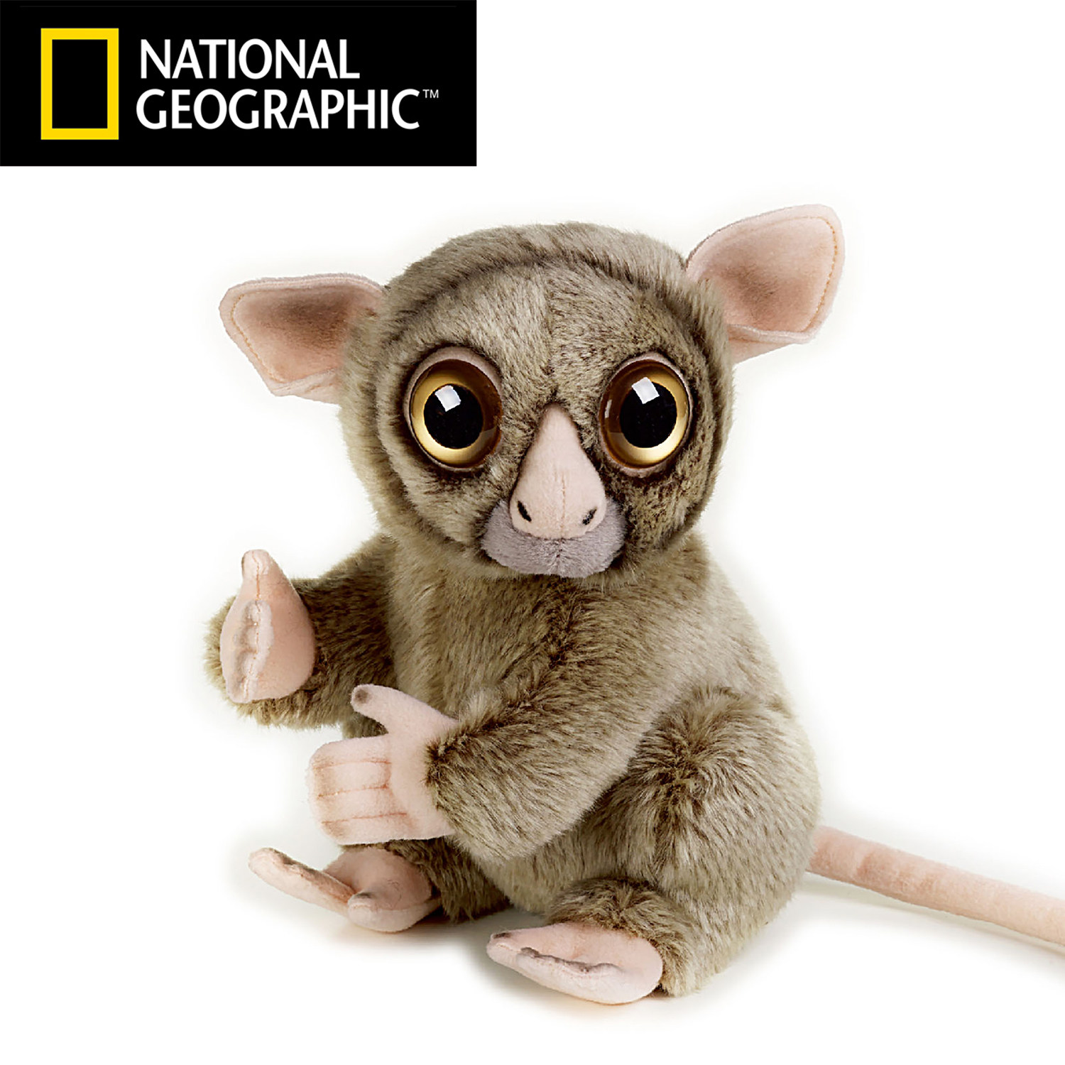 中国国家地理仿真动物玩偶眼镜猴跗猴毛绒玩具男生女生生日礼物