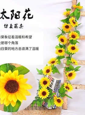 仿真太阳花藤条向日葵假花藤条藤蔓室内空调水管道遮挡装饰花缠绕