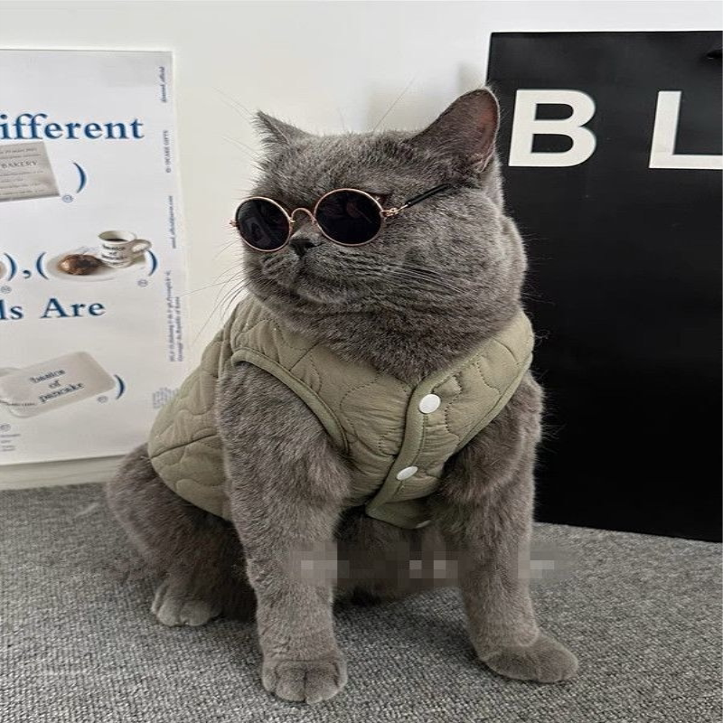 猫咪衣服带牵引扣秋冬棉衣约克夏比熊泰迪小型犬宠物冬天棉袄背心