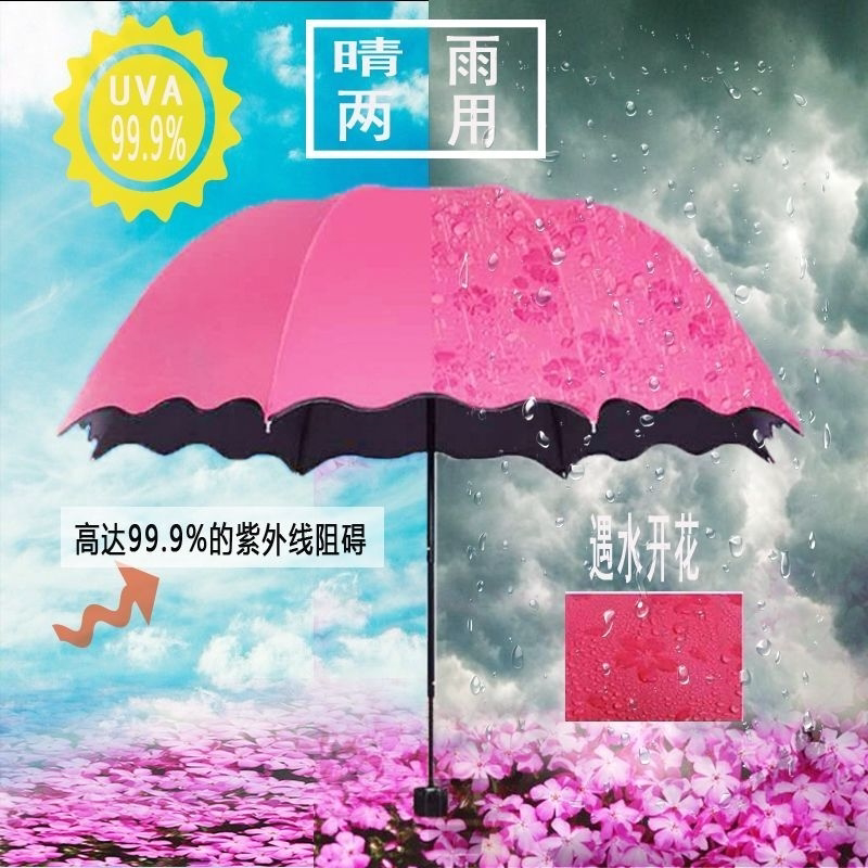 【黑胶防晒】遇水开花晴雨两用遮阳伞男女防紫外线太阳伞三折叠伞