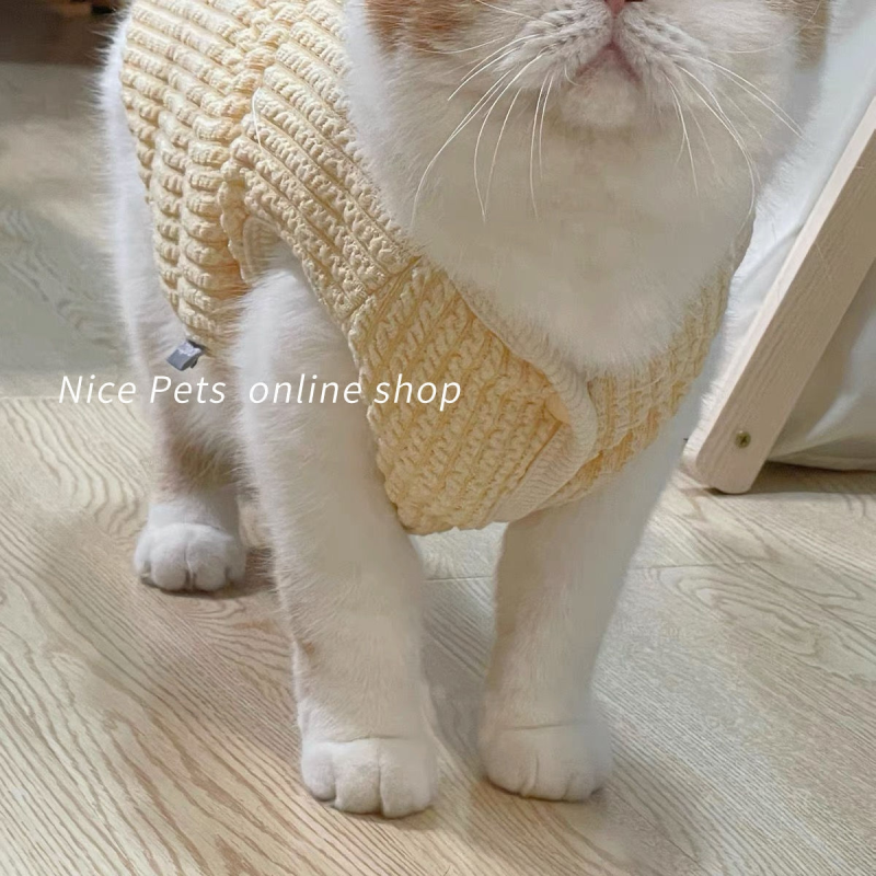 可爱毛线马甲宠物春夏薄款猫咪衣服布偶蓝猫秋冬款加绒保暖小背心