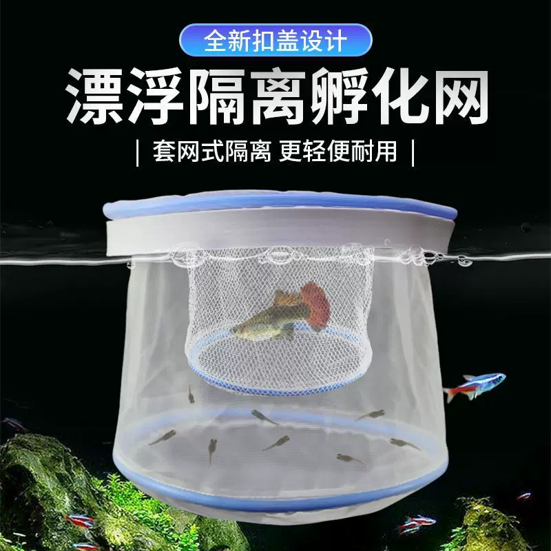 孔雀鱼鱼缸小型繁殖网隔离盒漂浮