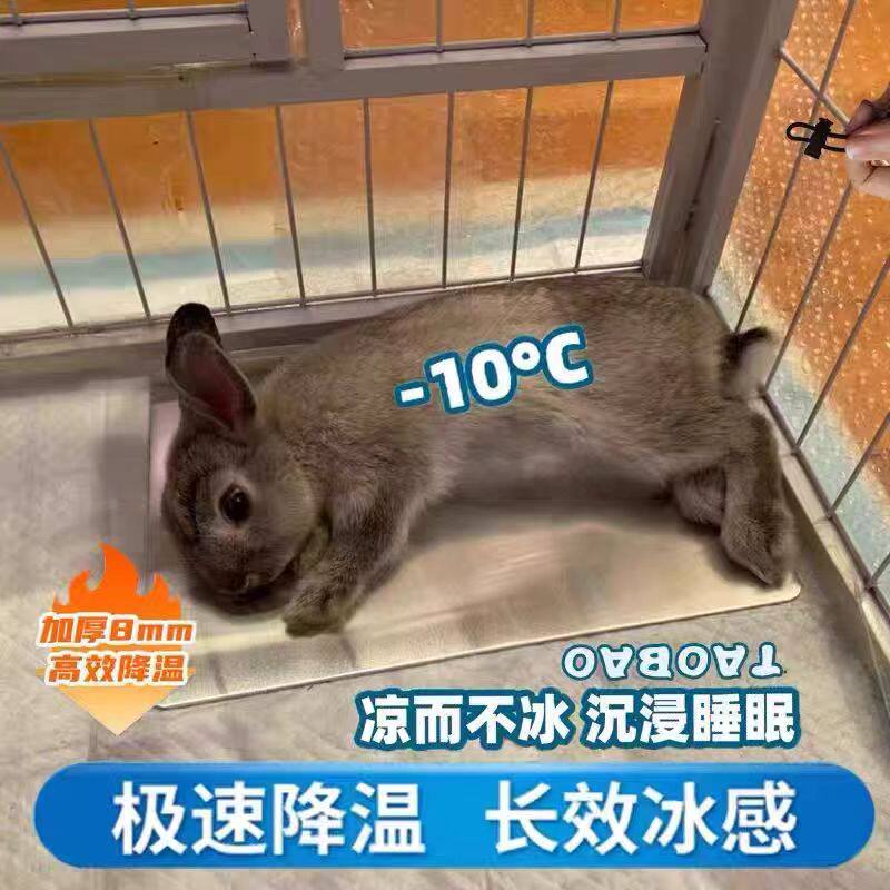 小兔子降温冰垫铝板散热防中暑神器宠物荷兰猪龙猫花枝鼠降温用品