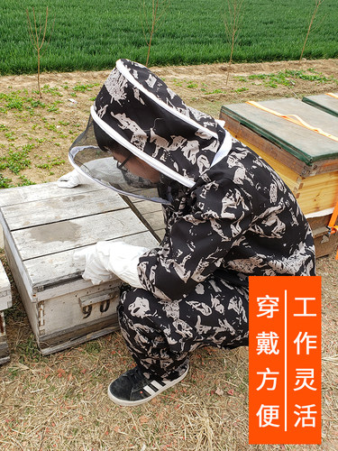 透气全套防护服蜜蜂工具