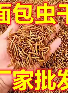 大颗粒面包虫干无添加八哥画眉芦丁鸡饲料小宠高蛋白补钙训练零食
