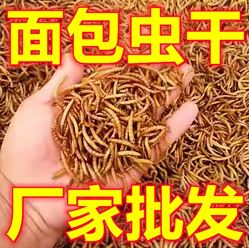 大颗粒面包虫干无添加八哥画眉芦丁鸡饲料小宠高蛋白补钙训练零食