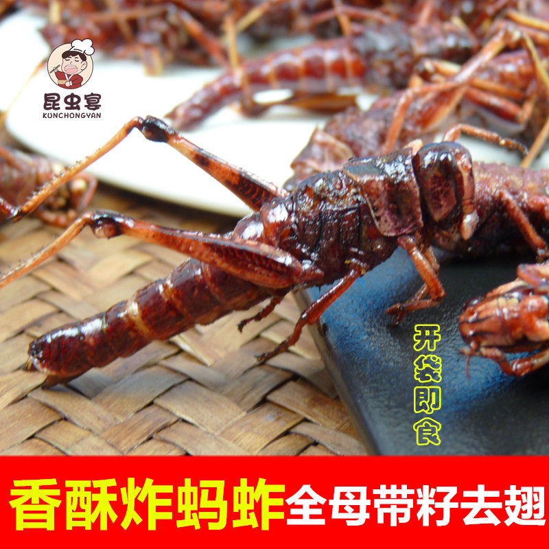 母蚂蚱油炸飞蝗蚂蚱去翅膀带籽全母香酥蚂蚱即食美味纯母昆虫宴