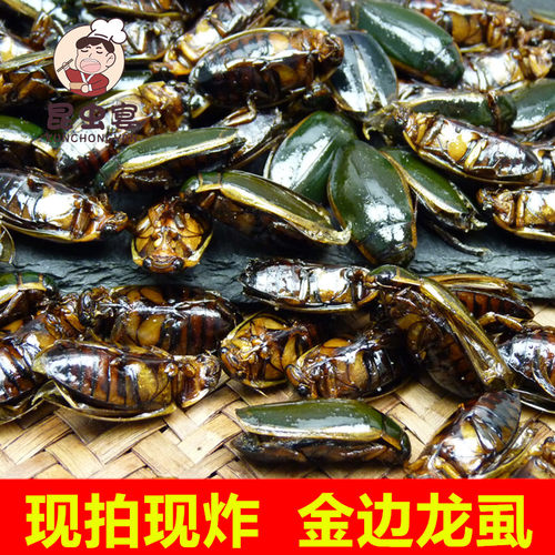 昆虫宴金边龙虱油炸即食
