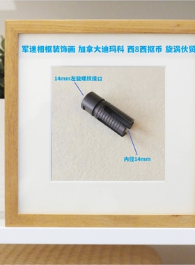军迷相框装饰画 加拿大迪玛科 西八西抠币 旋涡伙贸