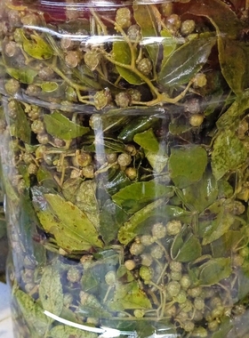 2025年带叶花椒麻椒咸菜腌制花椒小咸菜山东临朐特产腌麻椒