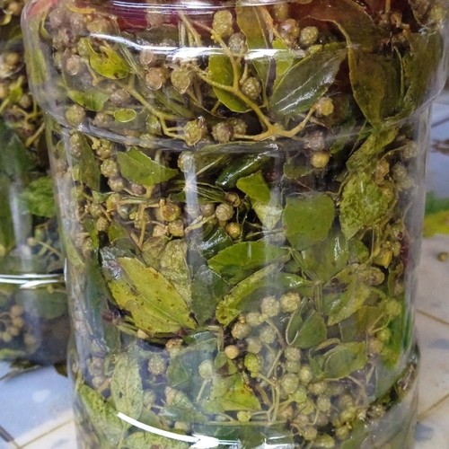 花椒麻椒咸菜即食无添加