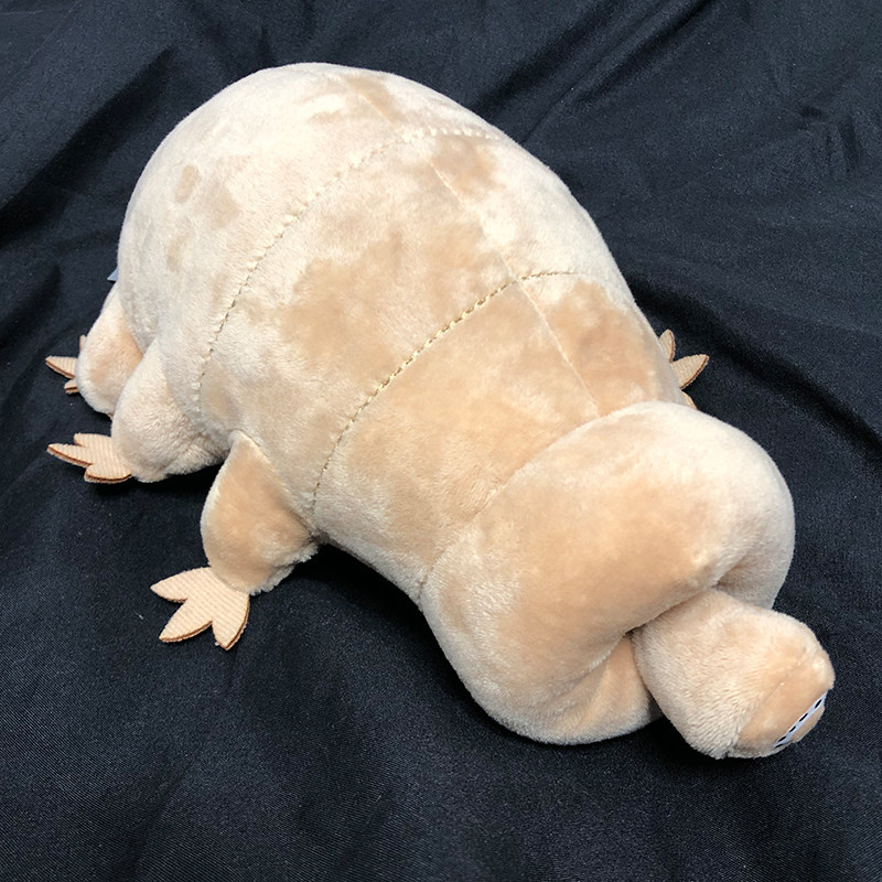 水熊虫公仔 深海最强生物玩偶 仿真虫子 tardigrade超丑毛绒玩具