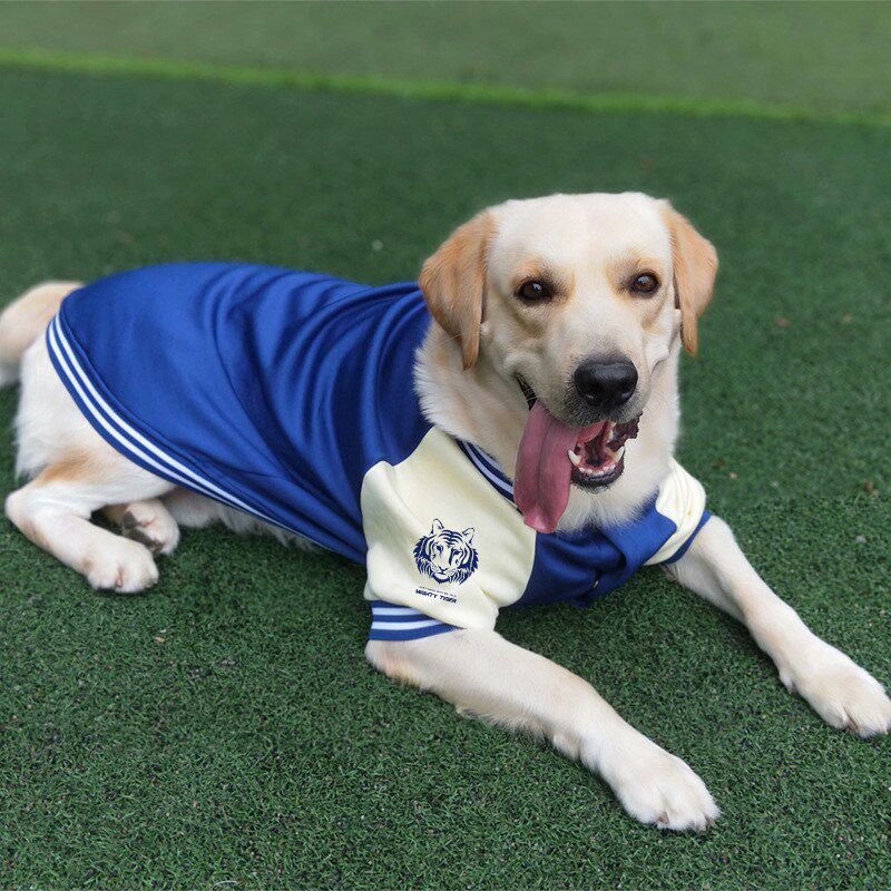 狗狗衣服秋冬季加绒加厚保暖不粘毛大中型犬金毛拉布拉多宠物服装