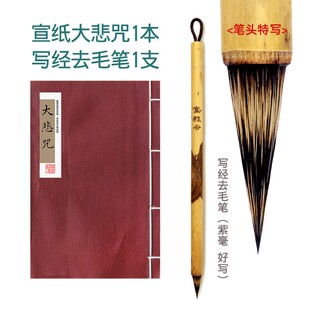 除障消业!大悲咒毛笔小楷字帖女生静心抄经本去病健康