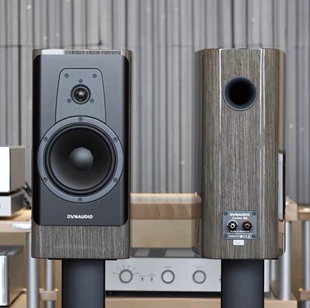 20i30 CONTOUR 60i书架箱旗舰落地音响hifi发烧 丹拿 Dynaudio