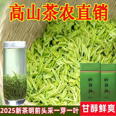 2025江西遂川狗牯脑茶明前珍品