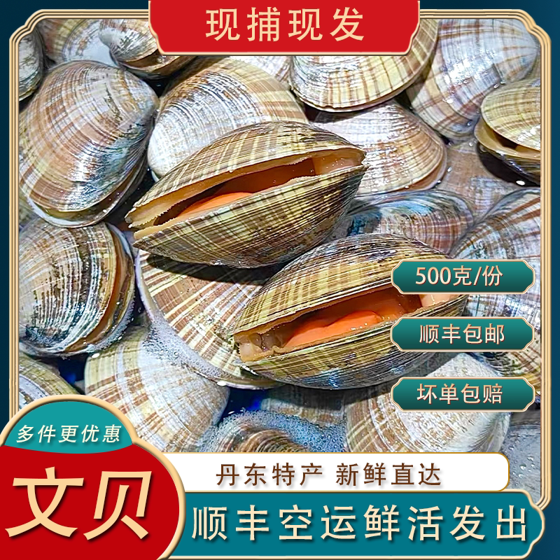 大文贝鲜活丹东超大顺丰空运包邮