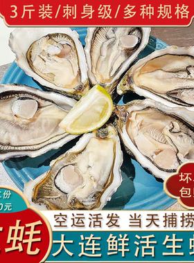 大连特产鲜活超大生蚝3斤空运