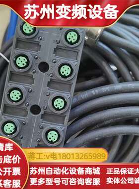 SEW模块连接线13309293原装正品300/根