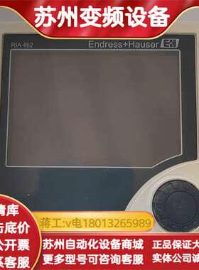 恩德斯豪斯EH RIA452过程控制器，型号RIA45