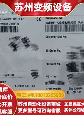 EH，电磁计，5WBB1F-AADADBJM0AQD211AA1AK