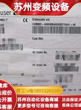 EH电磁计 5WBB80-AADADBJA0AQD21