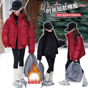 立领B类保暖女14岁以上棉袄/棉服