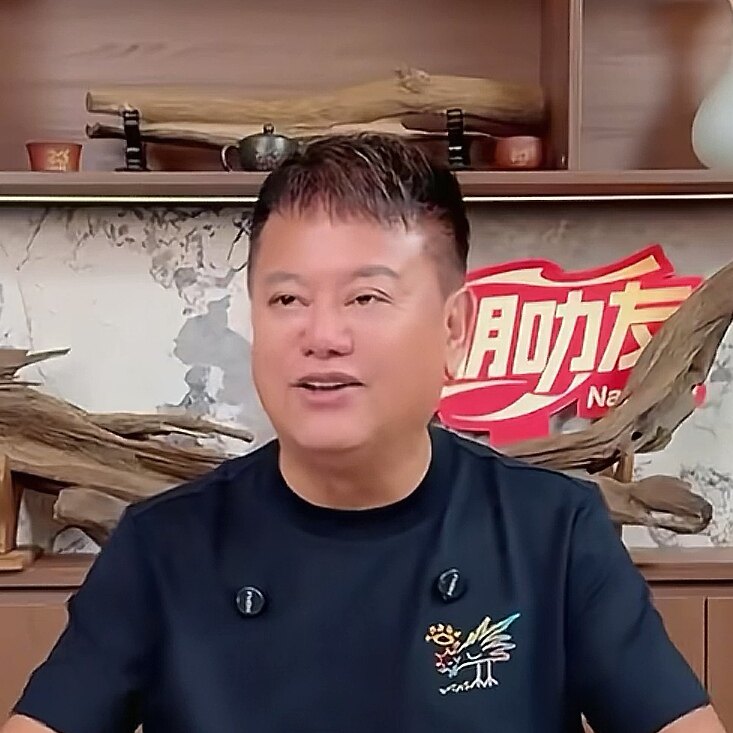 100%纯棉陈百祥抖音直播同款T恤叨哥小鸡啄米图T恤凤凰奥义图情怀