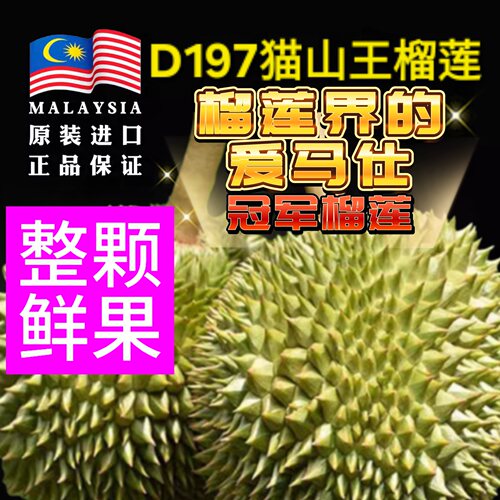 【树熟整颗鲜果】D197猫山王榴莲带壳马来西亚进口