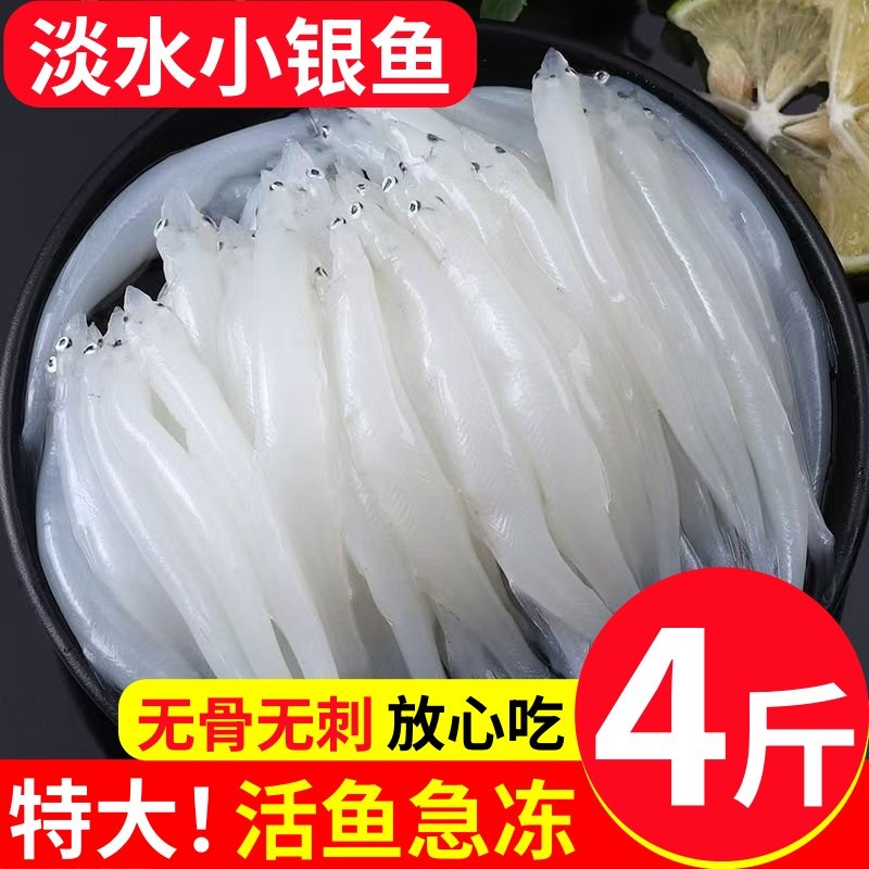 新鲜银鱼淡水小银鱼鲜活冷冻面条鱼特大号宝宝辅食非太湖三白鱼