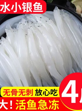 新鲜银鱼淡水小银鱼鲜活冷冻面条鱼特大号宝宝辅食非太湖三白鱼