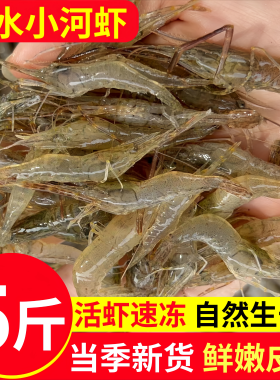 寰球邮鲜5斤装现捕大号淡水河虾