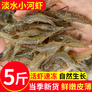 淡水小河虾鲜活速冻当季现捕大号青虾小草虾急冻土虾河虾顺丰包邮