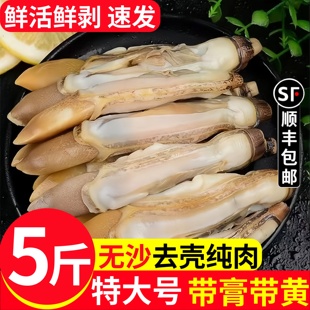 蛏王肉新鲜冷冻大个带黄蛏子肉海鲜水产鲜活去壳圣王肉竹蛏肉贝类