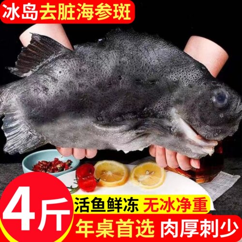海参斑鱼冰岛去脏海参斑4斤/条无冰海鱼野生海鲜食材饭店顺丰包邮