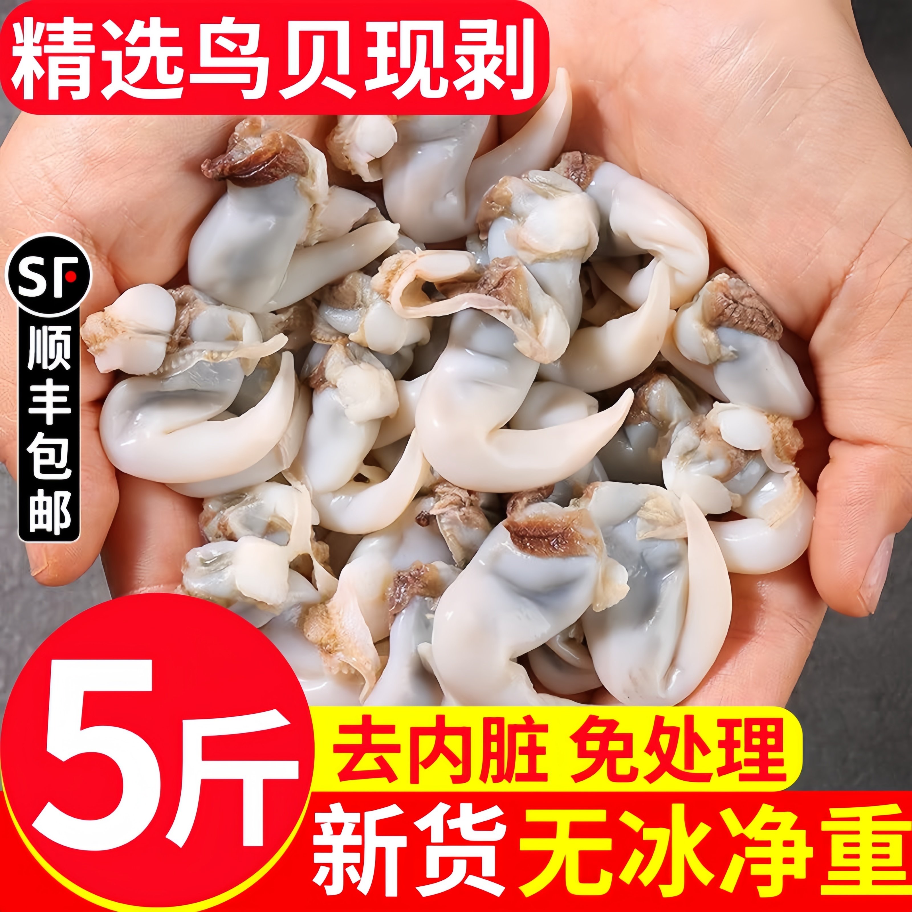 鸟贝肉新鲜冷冻去内脏速冻鸟贝鲜活白鸟贝肉火锅食材鸟蛤石垣贝