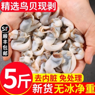 鸟贝肉新鲜冷冻去内脏速冻鸟贝鲜活白鸟贝肉火锅食材鸟蛤石垣贝