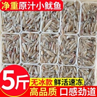 新鲜小管鱿鱼白灼鱿鱼冷冻大鱿鱼大笔管鱼小乌贼海鲜水产鲜活生鲜