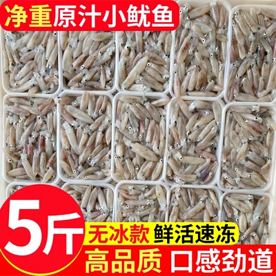 新鲜小管鱿鱼白灼鱿鱼冷冻大鱿鱼大笔管鱼小乌贼海鲜水产鲜活生鲜