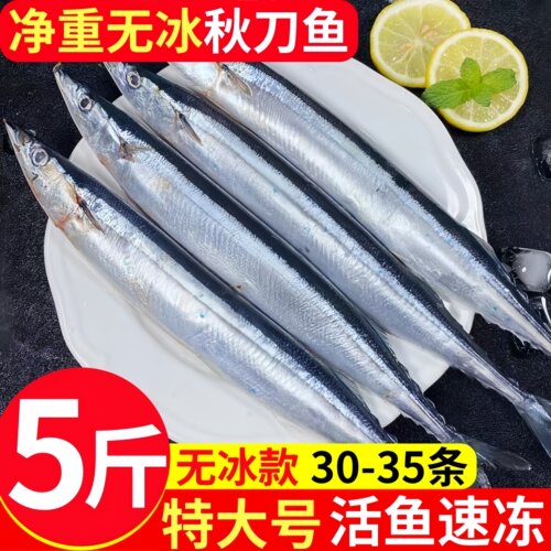 冷冻特大深海秋刀鱼日式烧烤