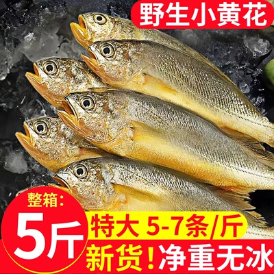 冷冻小黄花鱼浙江黄花鱼油炸鲜香
