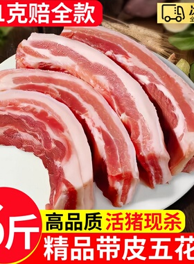 猪五花肉新鲜带皮现杀冷冻猪腹土猪肉商用食材生鲜大块冷鲜肉猪肉