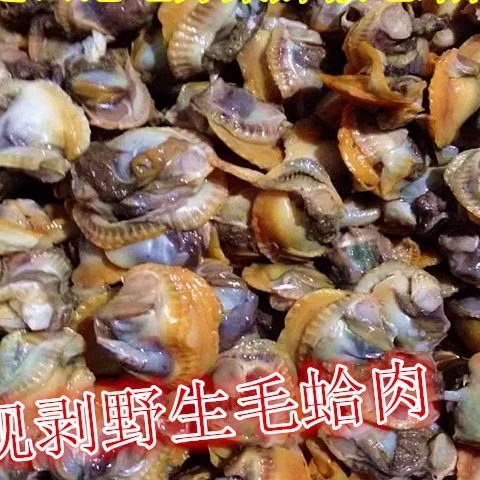 野生毛蛤血蛤现剥毛蛤肉毛蛤鲜活蛤蜊非赤贝肉大毛钳肉水产海鲜