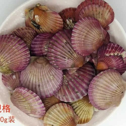 大连海鲜港湾贝顺丰时效