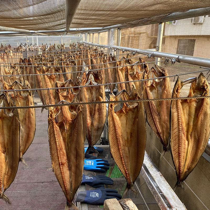 大连海鲜海鱼燕尾鲅鱼干