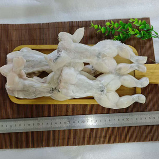 牛蛙新鲜特大田鸡冷冻青蛙半成品肉石蛙蛤蟆蛙肉火锅食材整只牛蛙