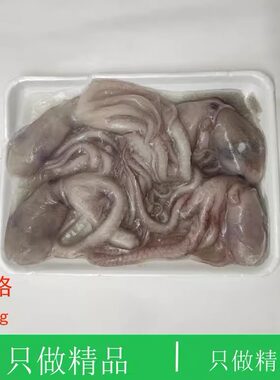大连海鲜冷冻八爪鱼顺丰特快