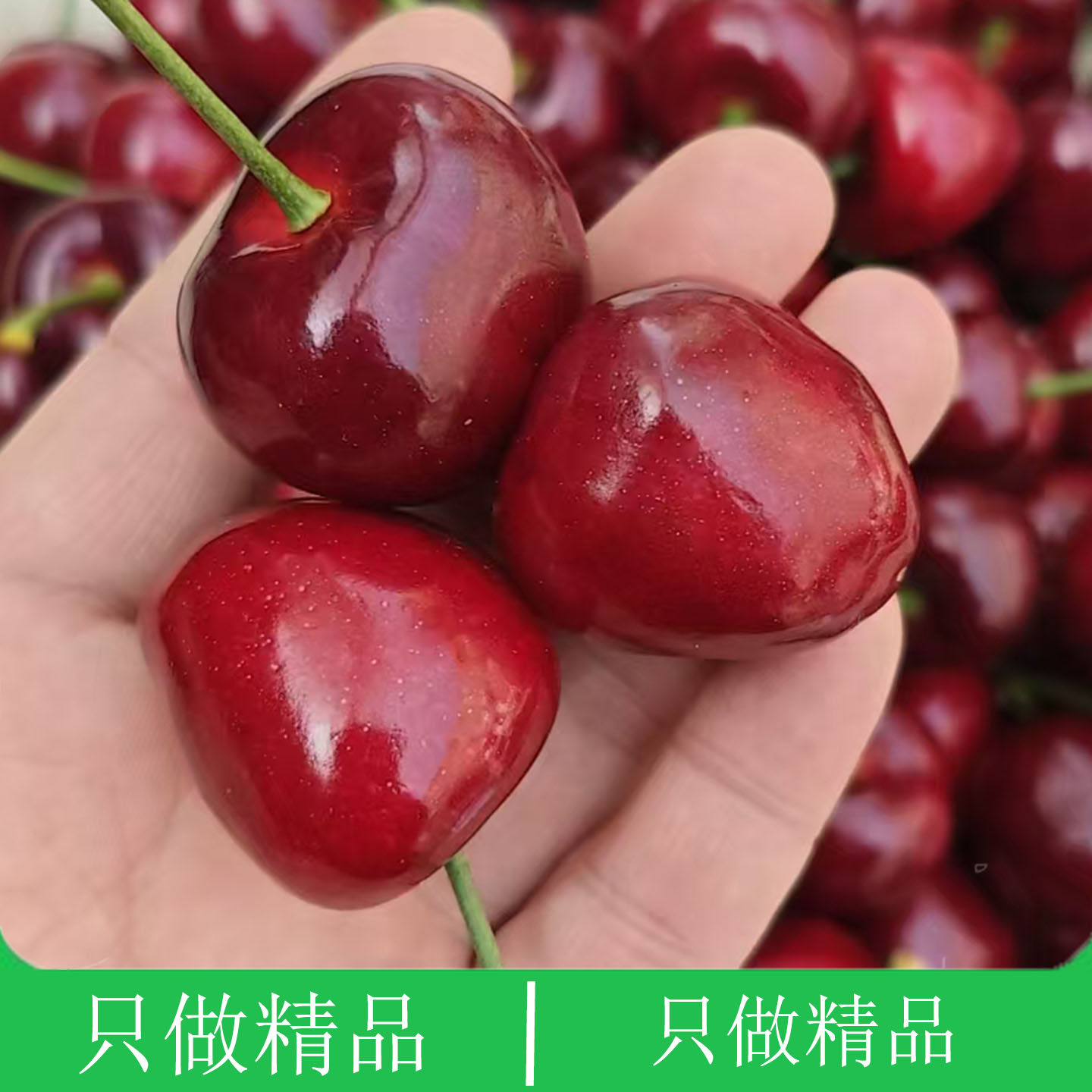 大连国产大车厘子新鲜水果现摘现发应季当季整箱脆甜美早大樱桃