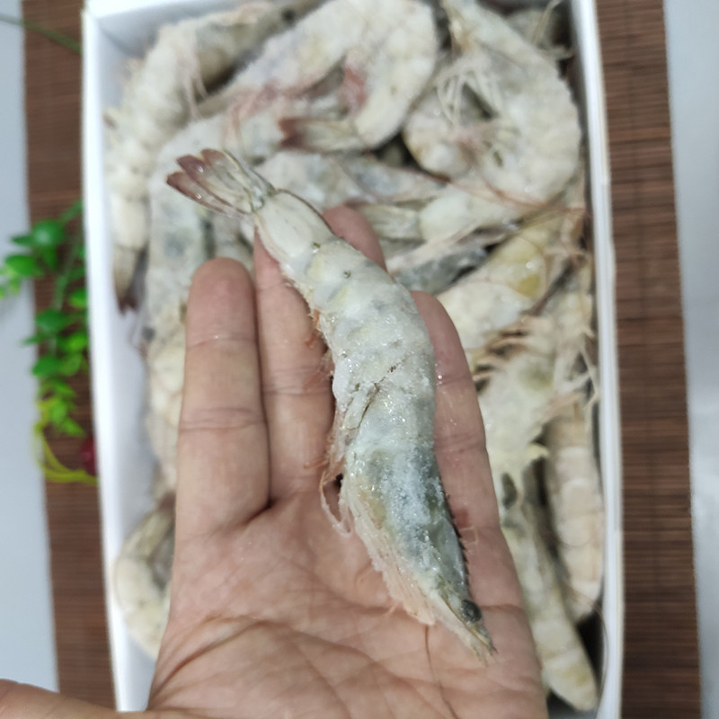 海虾大连对虾新鲜白虾明虾速冻凉虾草虾青虾海鲜基围虾黑虎虾大虾