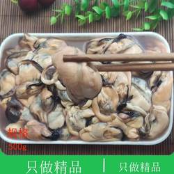 大连海鲜贻贝青口贝壳肉新鲜烧烤淡菜海红凉拌火锅现剥大号海虹肉